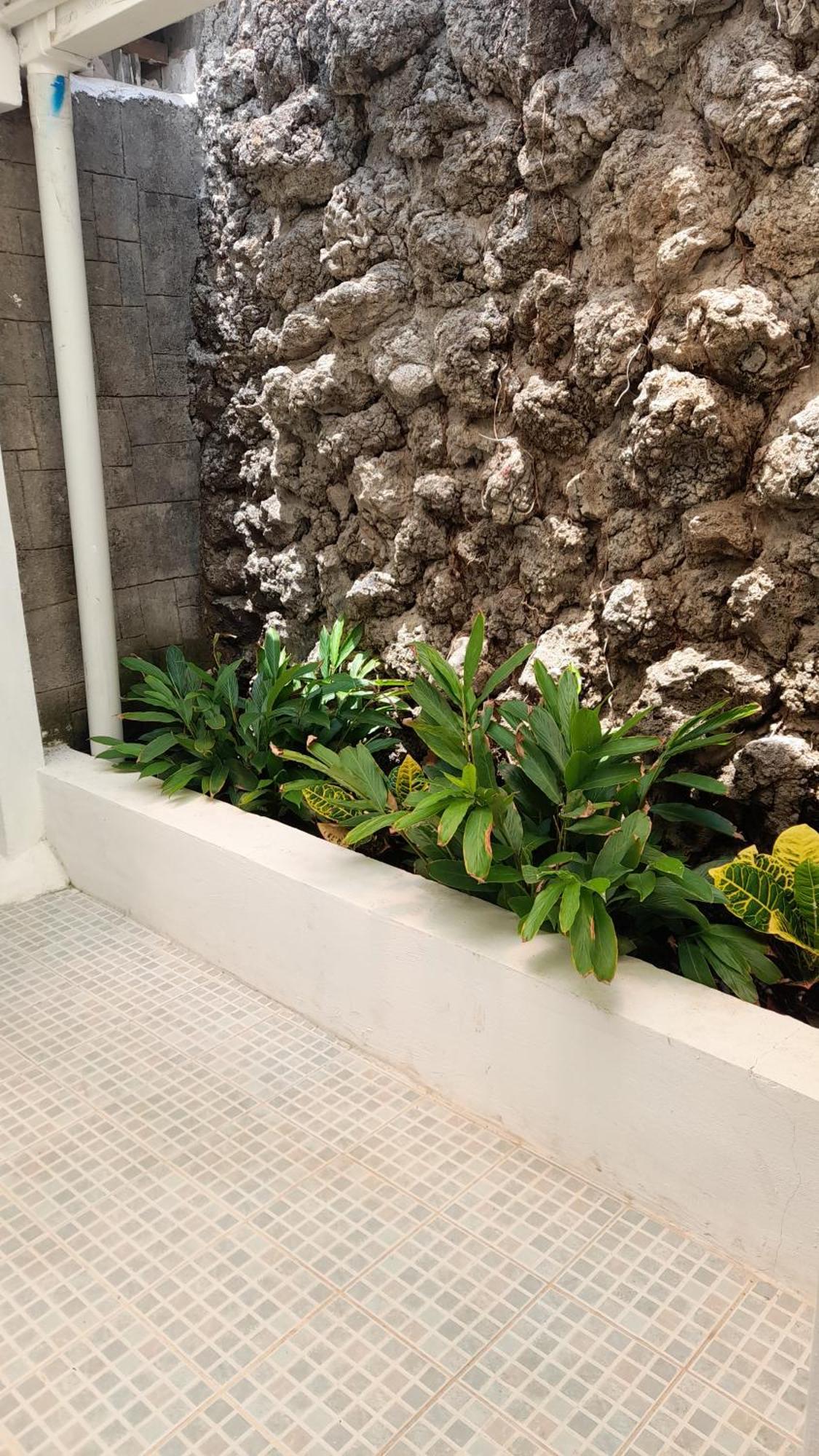 Managua Inn Managua